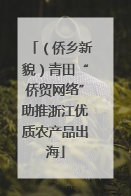 （侨乡新貌）青田“侨贸网络”助推浙江优质农产品出海
