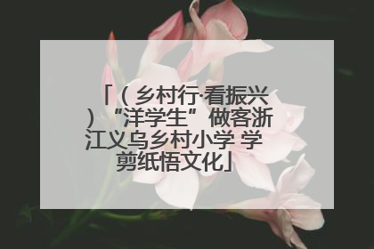 （乡村行·看振兴）“洋学生”做客浙江义乌乡村小学 学剪纸悟文化