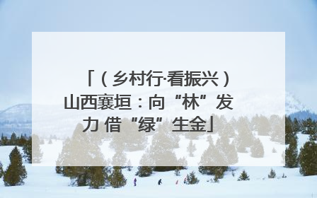 （乡村行·看振兴）山西襄垣：向“林”发力 借“绿”生金