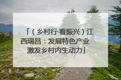 （乡村行·看振兴）江西瑞昌：发展特色产业 激发乡村内生动力