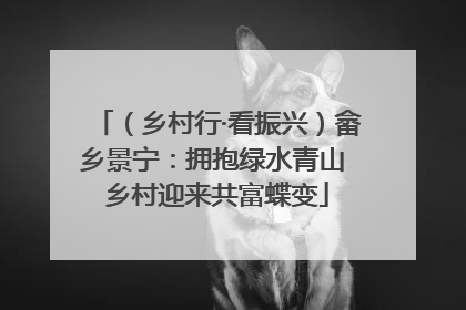 （乡村行·看振兴）畲乡景宁：拥抱绿水青山 乡村迎来共富蝶变