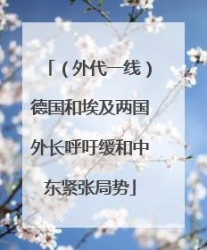 （外代一线）德国和埃及两国外长呼吁缓和中东紧张局势