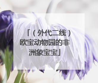 （外代二线）欧宝动物园的非洲象宝宝