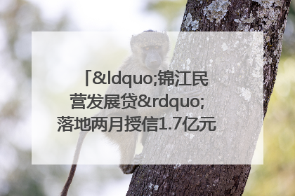 “锦江民营发展贷”落地两月授信1.7亿元，惠及118家民企