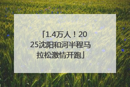 1.4万人！2025沈阳和河半程马拉松激情开跑