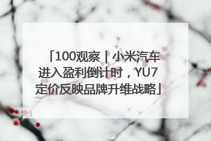 100观察｜小米汽车进入盈利倒计时，YU7定价反映品牌升维战略