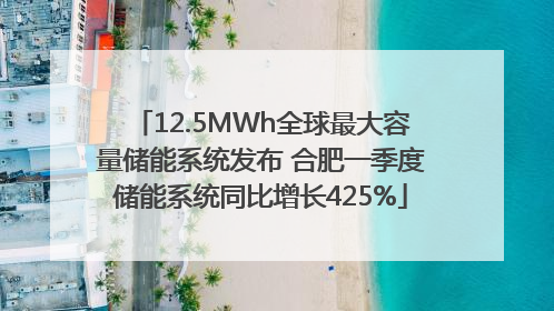 12.5MWh全球最大容量储能系统发布 合肥一季度储能系统同比增长425%
