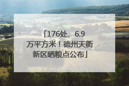 176处、6.9万平方米！德州天衢新区晒粮点公布