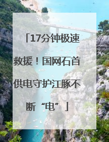 17分钟极速救援！国网石首供电守护江豚不断“电”