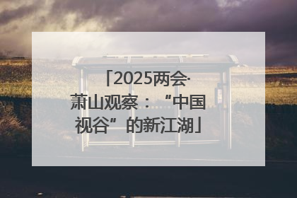 2025两会·萧山观察：“中国视谷”的新江湖