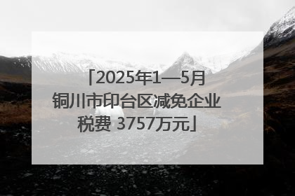 2025年1—5月铜川市印台区减免企业税费 3757万元
