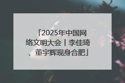 2025年中国网络文明大会丨李佳琦、董宇辉现身合肥