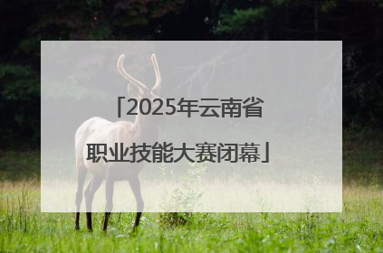 2025年云南省职业技能大赛闭幕