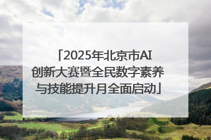 2025年北京市AI创新大赛暨全民数字素养与技能提升月全面启动