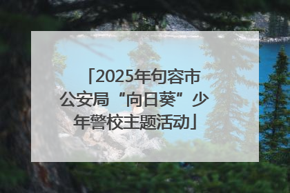 2025年句容市公安局“向日葵”少年警校主题活动