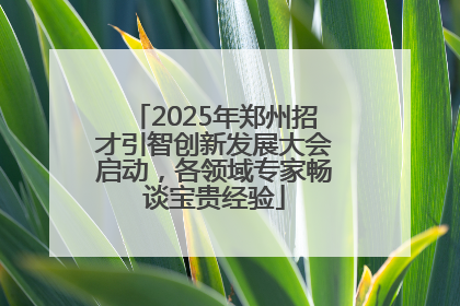 2025年郑州招才引智创新发展大会启动，各领域专家畅谈宝贵经验