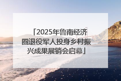2025年鲁南经济圈退役军人投身乡村振兴成果展销会启幕