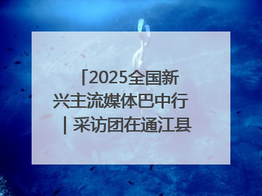 2025全国新兴主流媒体巴中行｜采访团在通江县瞻仰全国最大红军烈士陵园