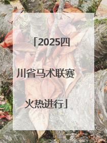 2025四川省马术联赛火热进行