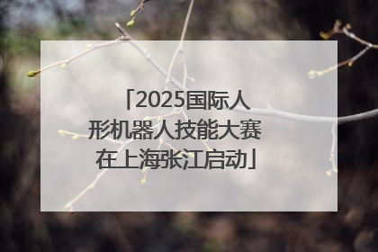 2025国际人形机器人技能大赛在上海张江启动