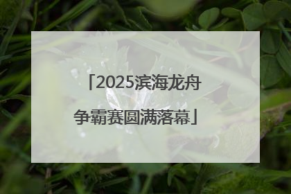2025滨海龙舟争霸赛圆满落幕