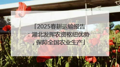2025春耕运输报告：湖北发挥农资枢纽优势，保障全国农业生产