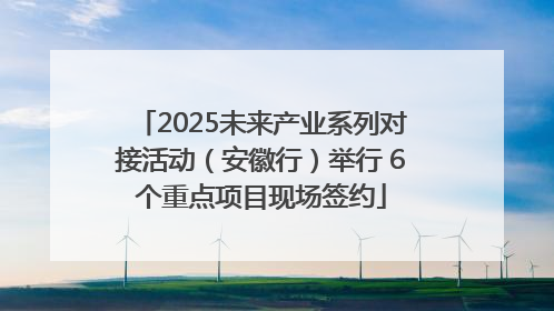 2025未来产业系列对接活动（安徽行）举行 6个重点项目现场签约