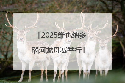 2025维也纳多瑙河龙舟赛举行