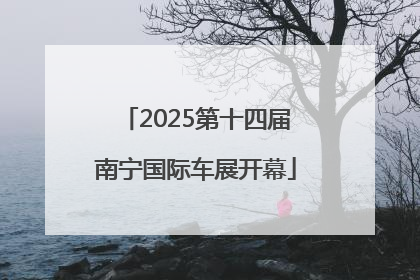 2025第十四届南宁国际车展开幕
