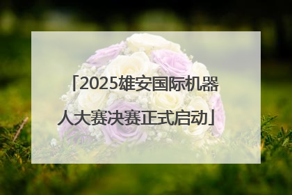 2025雄安国际机器人大赛决赛正式启动