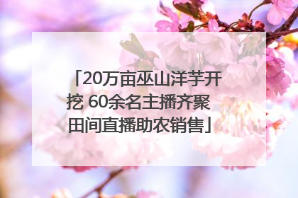 20万亩巫山洋芋开挖 60余名主播齐聚田间直播助农销售