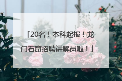 20名！本科起报！龙门石窟招聘讲解员啦！