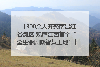 300余人齐聚南昌红谷滩区 观摩江西首个“全生命周期智慧工地”