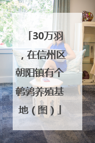 30万羽，在信州区朝阳镇有个鹌鹑养殖基地（图）