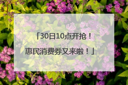 30日10点开抢！惠民消费券又来啦！