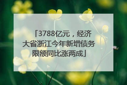 3788亿元，经济大省浙江今年新增债务限额同比涨两成
