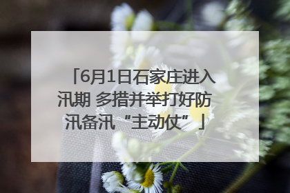 6月1日石家庄进入汛期 多措并举打好防汛备汛“主动仗”