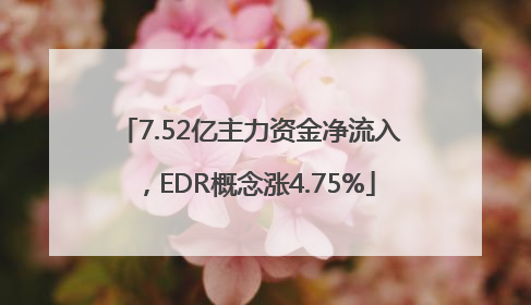 7.52亿主力资金净流入，EDR概念涨4.75%