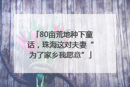 80亩荒地种下童话，珠海这对夫妻“为了家乡我愿意”