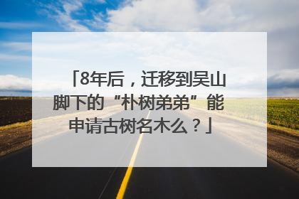 8年后，迁移到吴山脚下的“朴树弟弟”能申请古树名木么？