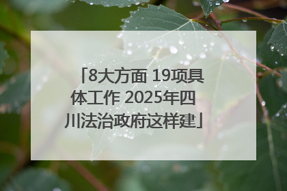 8大方面 19项具体工作 2025年四川法治政府这样建