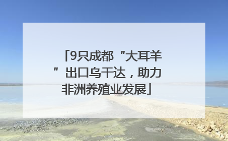 9只成都“大耳羊”出口乌干达，助力非洲养殖业发展