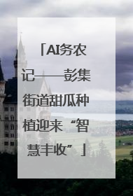 AI务农记——彭集街道甜瓜种植迎来“智慧丰收”