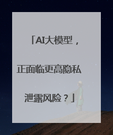 AI大模型，正面临更高隐私泄露风险？