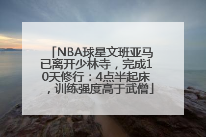 NBA球星文班亚马已离开少林寺，完成10天修行：4点半起床，训练强度高于武僧