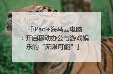 iPad+海马云电脑：开启移动办公与游戏娱乐的“无限可能”